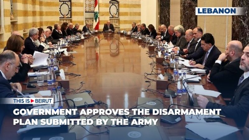 Government Approves the Disarmament Plan Submitted by the Army