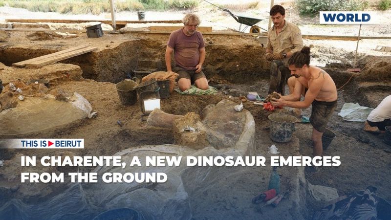 In Charente, a New Dinosaur Emerges from the Ground