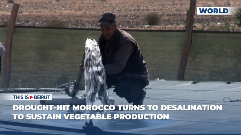 Drought-Hit Morocco Turns to Desalination to Sustain Vegetable Production