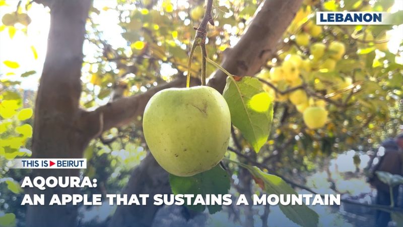 Aqoura: An Apple That Sustains a Mountain