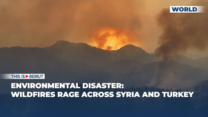 Environmental Disaster: Wildfires Rage Across Syria and Turkey